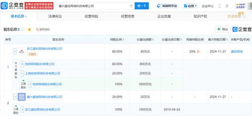 愷英網絡嘉興布局 投資成立網絡科技公司，拓展信息技術咨詢服務新賽道